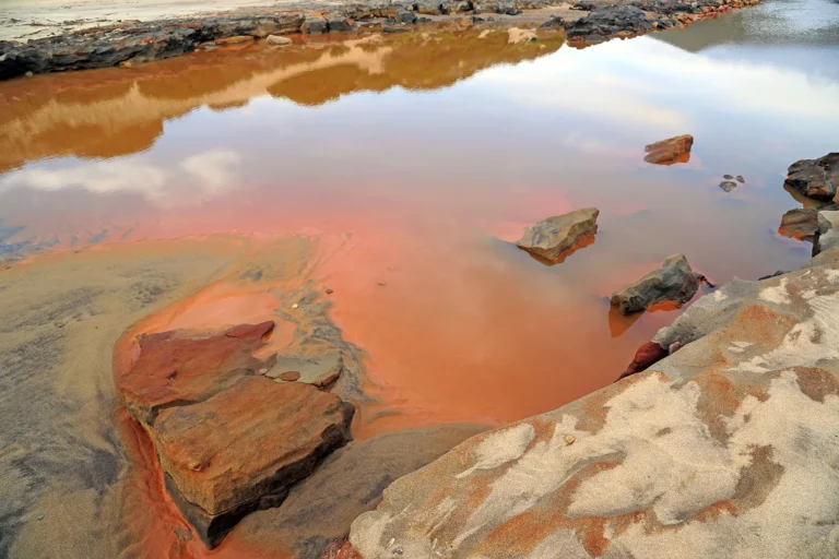 sediment issues